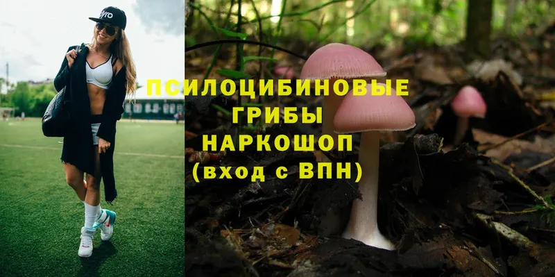 где продают наркотики  Рубцовск  Галлюциногенные грибы Psilocybe 